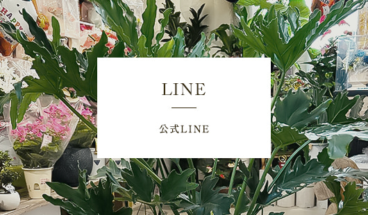 公式LINE